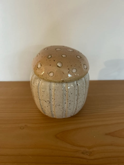 Large Mushroom Jars