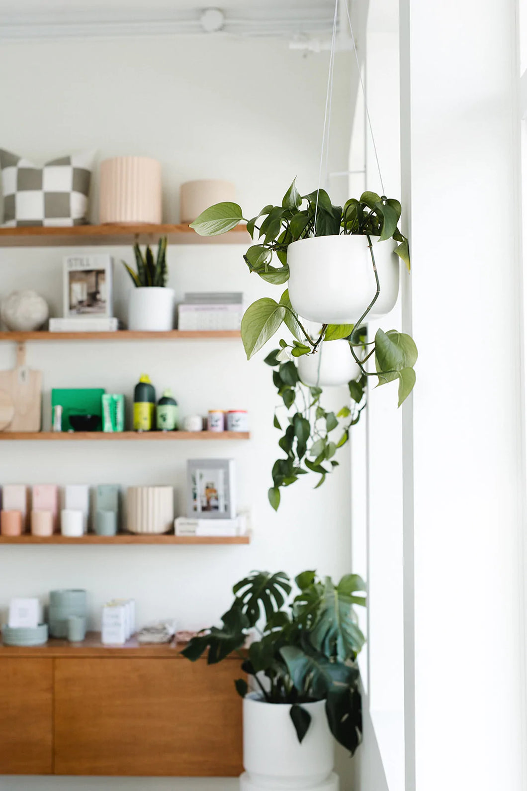 Hanging Planter